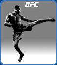 jon jones fighter high kick