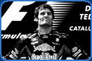 handsome racer mark webber