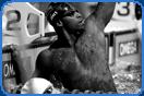 swimmer cullen jones