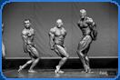 tall bodybuilder