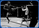 tall fighter