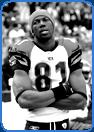 tall football player terrell owens